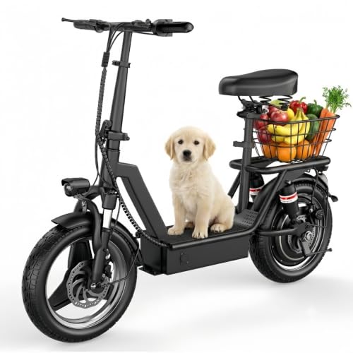 1000W Fast Electric Scooter