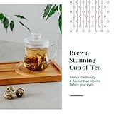 Flowering Tea Bulbs - Natural Blend of Green Tea, Jasmine Flowers, Rose Buds & More - Sweet Floral Notes & Subtle Fruity Flavour by The Tea Makers of London - 5 Bulbs - Image 3