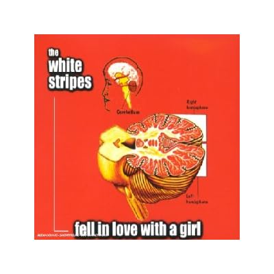 Fell In Love With A Girl