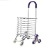 Chariots De Courses Chariot À Achats Panier Pliable Portable Panier En Aluminium Chariot À Provisions Chariot Chariot 8 Roues Escalade Escaliers Pliable