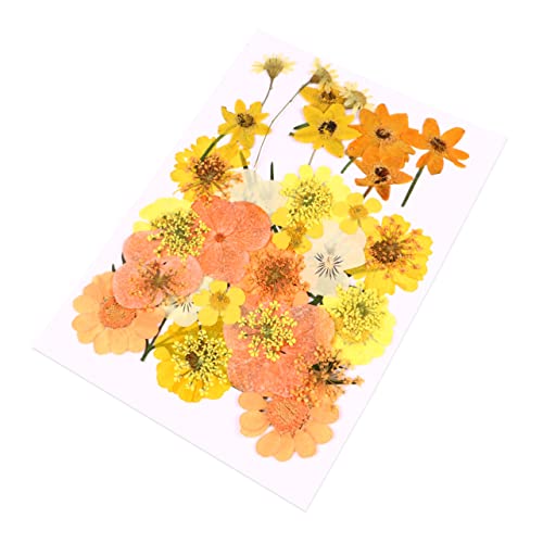 Kit 40 flores secas prensadas elegantes para manualidades miniatura 1