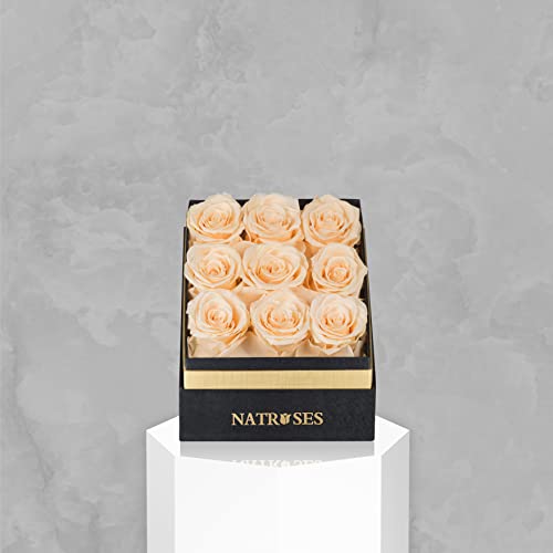 Natroses Forever Preserved Roses In A Box, 100% Real Roses That Last Up To 3 Years, Flowers For Delivery Prime Birthday, Valentines Day Gifts For Her, Birthday Gifts (Buttermilk) #TOP1