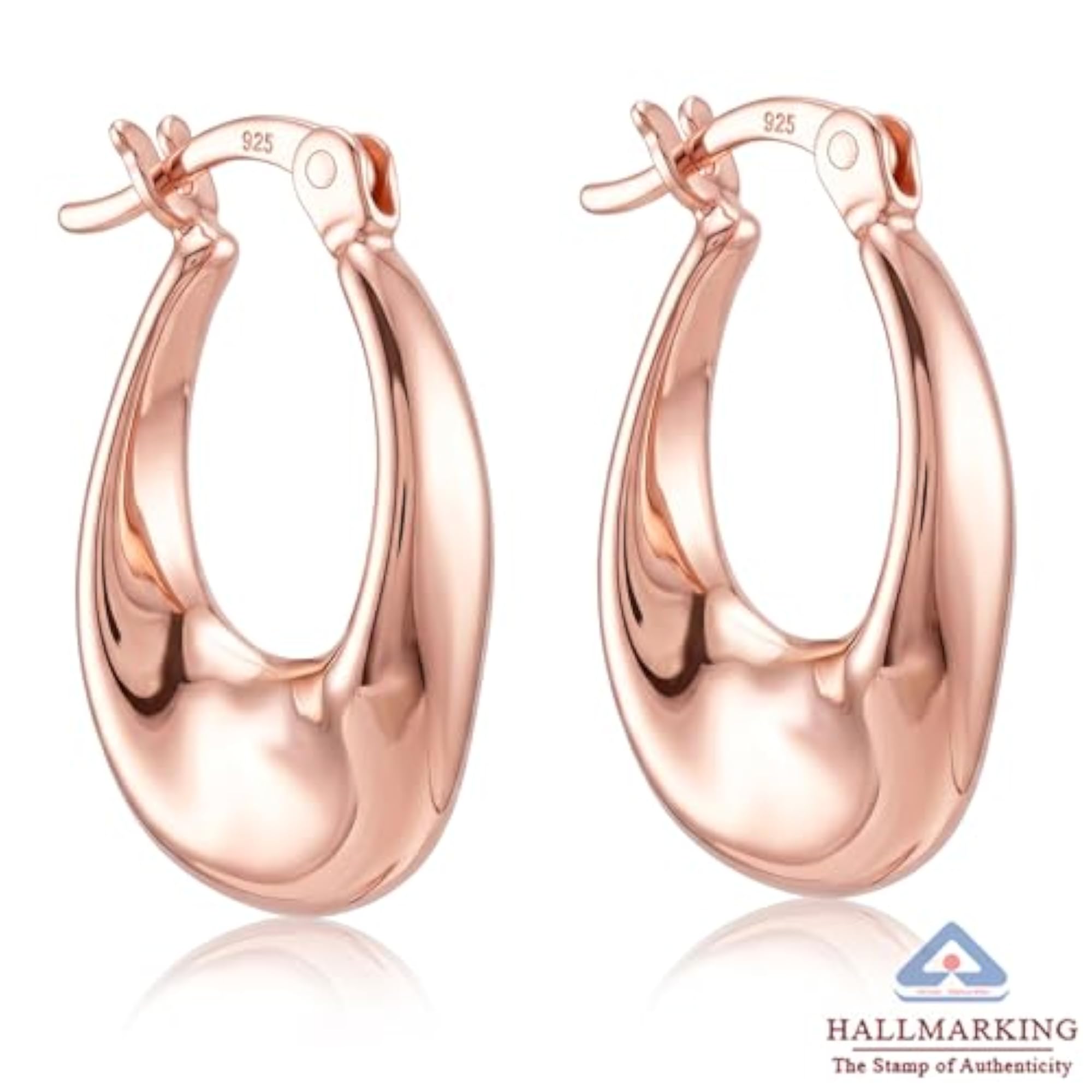 Women's 14K Rose Gold Plated Twisted Hoop Earrings, Elegant