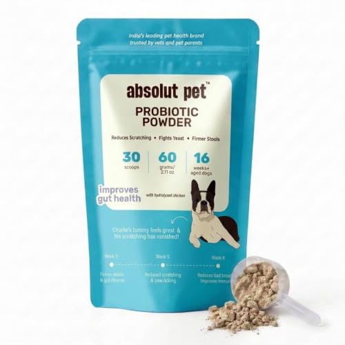 Image of Absolut Pet Probiotic Gut Health Powder for Dogs | 30 Servings