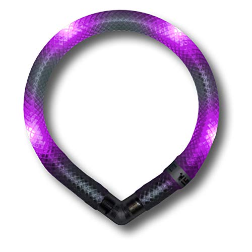 LEUCHTIE® Leuchthalsband Mini Lavendel Größe 32,5 I LED Halsband extra für kleine Hunde I wasserdicht I enorm hell Cover