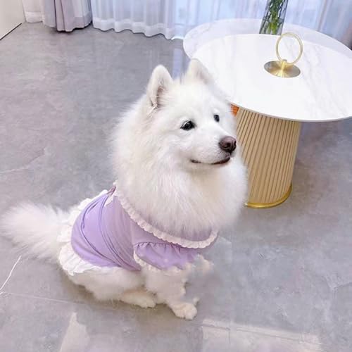 Robe pour chien de grande taille violette en dentelle pour Labrador - 6