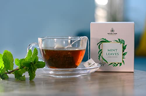 Image of NATURE'S PARK Herbal Infusion (Mint Leaves)