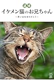 【追悼】イケメン猫のお兄ちゃん~思い出をありがとう~ (猫パンチ)