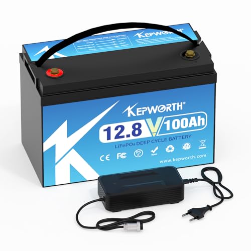 EconomiPower Batterie lithium 12V 100AH LiFePO4 100A BMS 4000-15000 Deep Cycle Lithium Battery, batterie camping car 1280 Wh pour le système solaire, les moteurs à la traîne