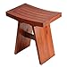 Bare Decor Casual BARE-AC2016 Sofi Shower Stool in Solid Teak Wood, 18 x 12 x 18