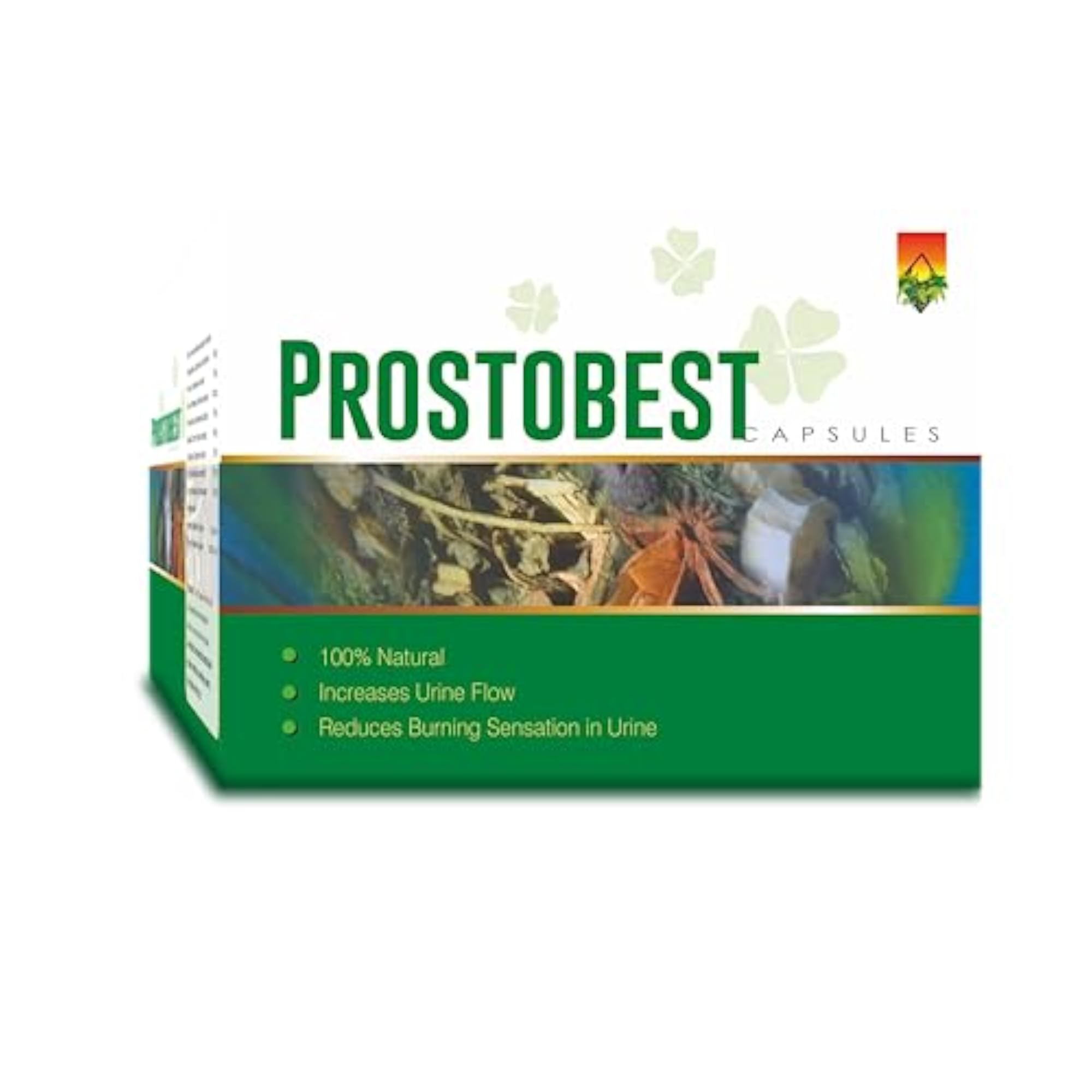 Zeelab Prostobest Capsule Pack of 4, Ayurvedic Supplement