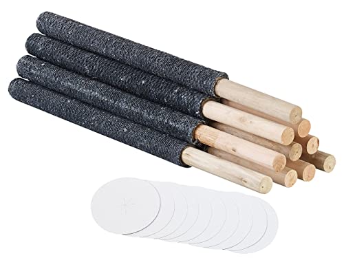 10 torches en cire avec protège-mains combustion jusqu'à 45 min [Semptec Urban Survival Technology]