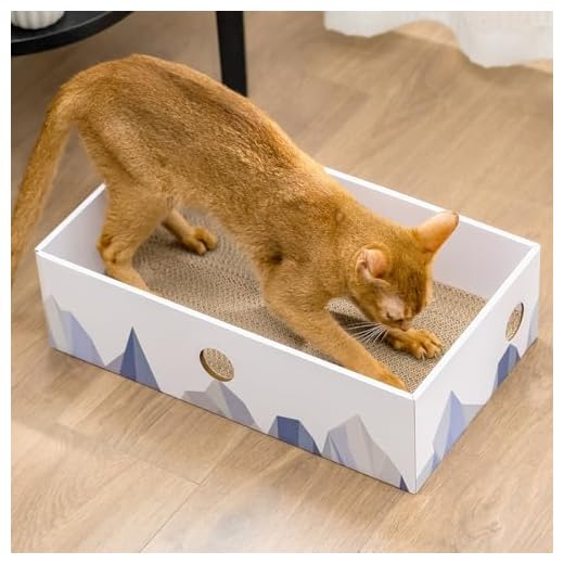 Conlun Katzen Kratzbrett mit Box