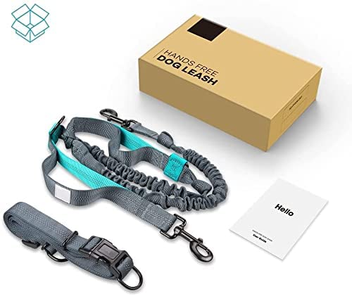 Generic Hands Free Dog Leash With Adjustable Waist Belt For Medium And Large Dogs,Dual Padded Handles, Retractable Bungee Reflective Stitches Walking Hiking Running, Blue, 59.05L×1.37W×0.79H #TOP7