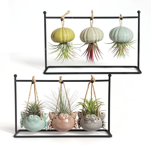 Gniliny 8 Pack Ceramic Air Plant Cradle with Rack: Indoor/Outdoor