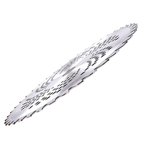 Wisamic 10 inch 60T Carbide Blade Tip with Washer Brush Cutter Trimmer Weed Eater Blade-2 Pack