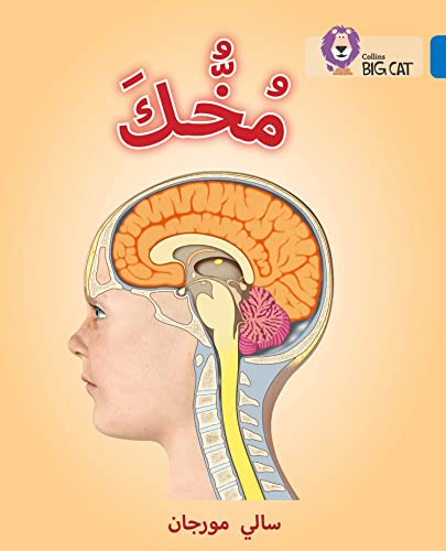 Collins Big Cat Arabic – Your Brain: Level 16 (English and Arabic Edition)