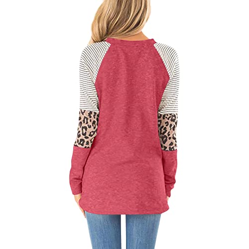 Jjhaevdy  2022 Women's Leopard Print Color Block Tunic Round Neck Long Sleeve Shirts Striped Causal Blouses Tops #TOP3