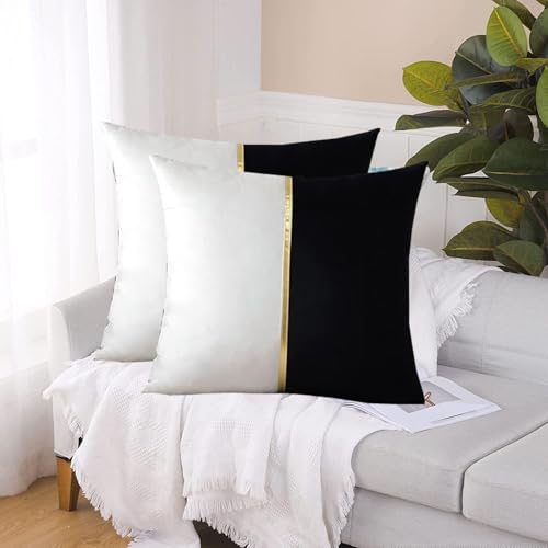 Image of HIMS Velvet Sofa Pillow Cover Set of 2, Luxury Cushion Cover 16 inch x 16 inch for Decorative Living Room Sofa Bedroom Car (16x16 Inch, Black)