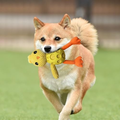 Quietschspielzeug für Hunde, mit Huhn, Kauspielzeug, unzerstörbar, zum Zahnen für kleine, mittlere und große Rassen, Übung für Welpen, Hilfe-4