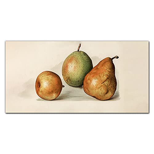 Décoration tableau en verre 100x50cm motif fruits image sur verre trempé pour salon