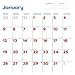 Catffirmations 2025 Wall Calendar