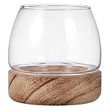 Toddmomy Bocal à Poissons Transparent Terrarium pour Décoration Et De Table Aquariums po...