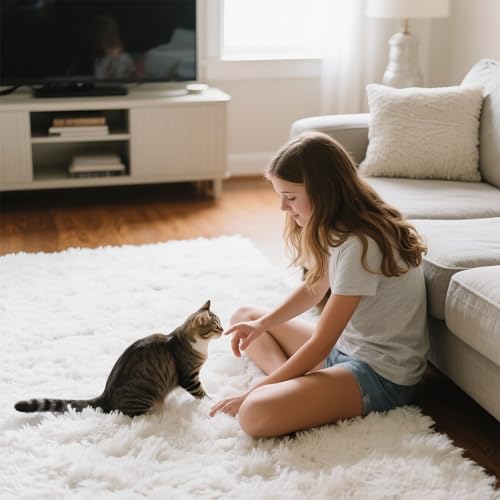 Small Bedside Rug, 3x5 Non Slip Fluffy Shaggy Entryway Throw Rugs for Bedroom Living Room, Indoor Floor Carpet for Kids Girls and Boys, Nursery Rooms Mat, Home Decor Aesthetic, White