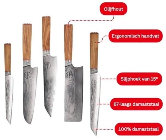 Set di coltelli giapponesi da 5 pezzi - Coltelli da cucina damascati professionali - 100% acciaio damasco - ceppo magnetico incluso - Legno