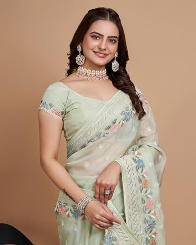 Image of VAIRAGEE Women Soft Organza Embroidery Traditional Flower Pattern Beautiful saree with unstitched blouse piece (6159)