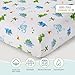 Wildkin 100% Cotton Twin Sheet Set – Soft & Cozy Bed Sheets - Dinosaur Land