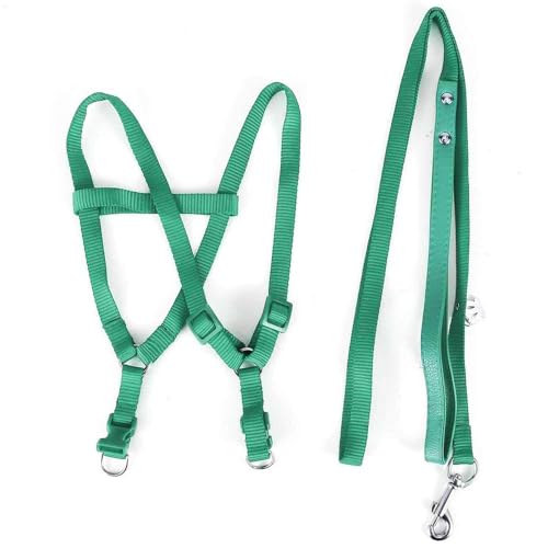 ASOCEA Vogelgeschirr Und Leine FüR Papageien Verstellbares Federband Fliegendes Nylon-Laufseil Outdoor Anti-Biss-TrainingsträGer FüR Kleine Papageien Wellensittiche Wellensittiche Nymphensittiche