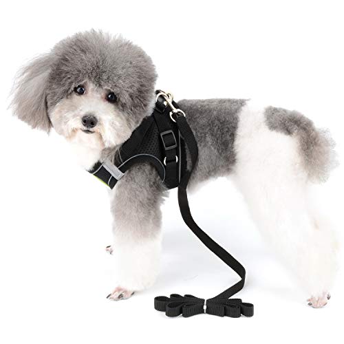 Zunea Small Dog Harness and Lead Set No Pull Puppy Vest Harnesses Adjustable Reflective Soft Mesh Step-in Pet Cat Harness Escape Proof for Walking Bright Colors for Dogs Black M - Image 2