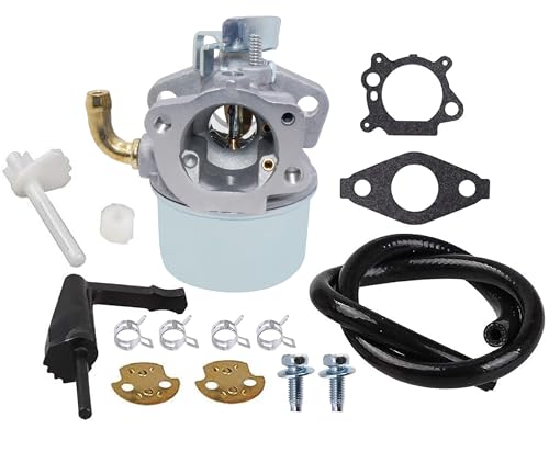 Carburateur Briggs & Stratton 798654 pour stopper les fuites
