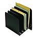 Steelmaster Slanted Vertical File Organizer - 12" H x 11" W x 9.3" D - Black, 1 Each (264S6BLA)