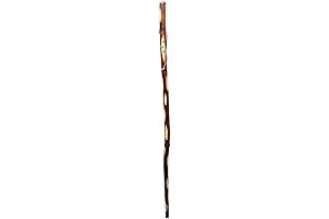 Paw Print-Adorned Children's Hiking Stick