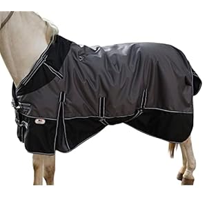 Majestic Ally 600 D Ripstop Nylon Horse Turnout Blanket with Waterproof, Heavyweight Coverage, Rain and Weather Resistant for Fall, or Cold Winter Weather, 250 GSM Fill (Dark Gray Black, 72 – Inch)