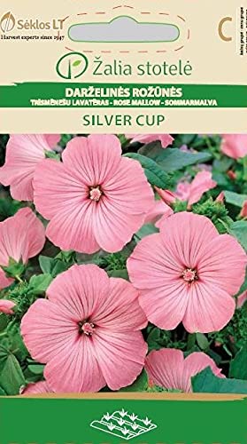 Seklos LT | Malva de copa plateada Silver Cup semillas | Semillas de flores | Semillas de plantas | La malva de copa crece herbácea hasta arbustiva| 1 paquete
