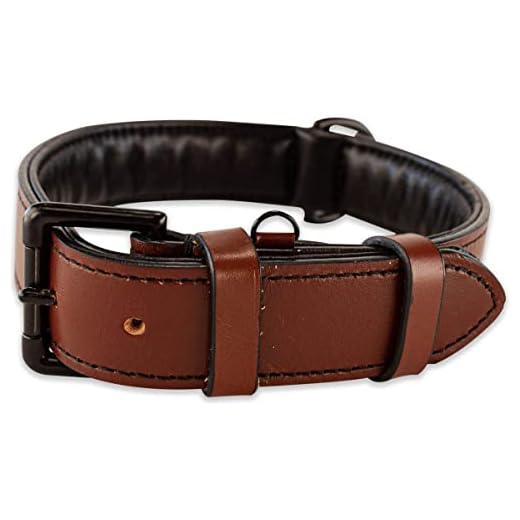 Full-Grain Leather XXL Collar