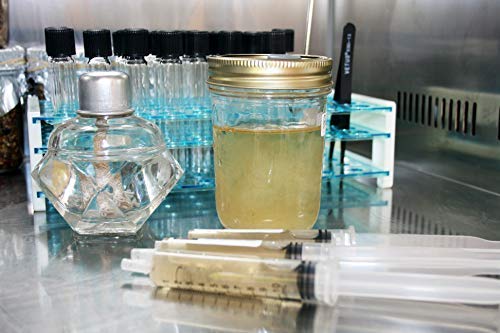 Root Mushroom Farm- 30 Mushroom Liquid Cultures / Maitake(Grifola Frondosa) #TOP2