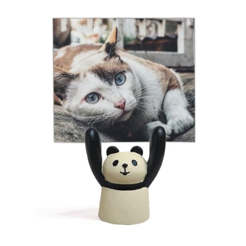 Support photo de chat et mémo coloré pour bureau