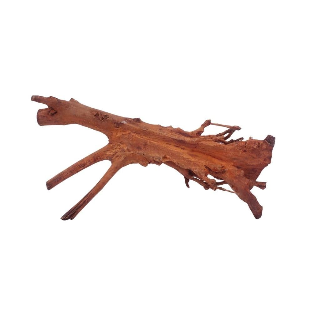 AquaOne Aquarium Wurzel M Jungle Wood Nr.4447 Aquarium Wurzel Holz Deko Aquascaping Dekoration Landschaft Moos Natur Echtholz