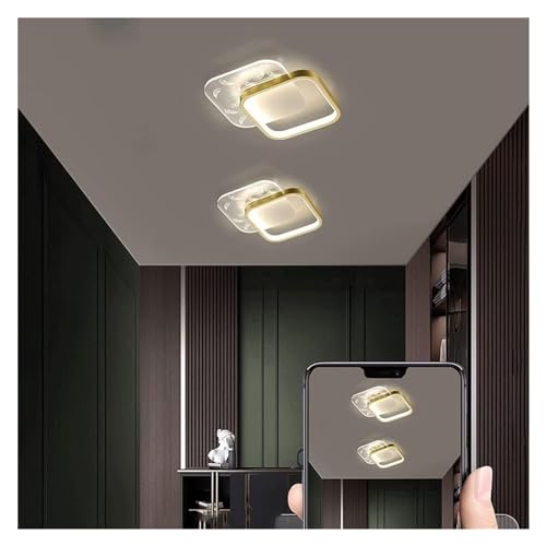 Lámpara LED de pared acrílica decorativa con patrón de plumas y caballo 4