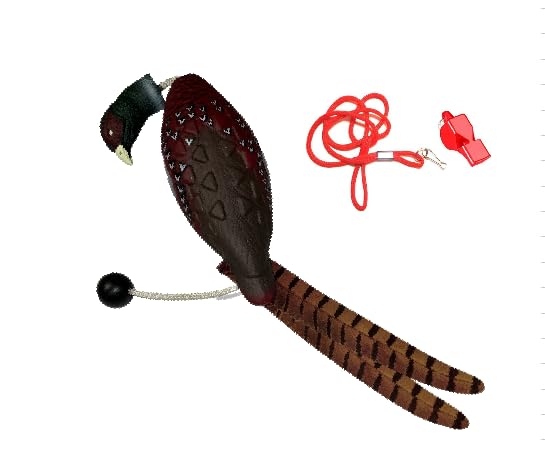 HuntEmUp Ringneck Pheasant Dummy Rooster and Whstle Hunting Dog Training Bundle - Orange - Bumper Dummy Pheasant Hunting Package for All Upland Sporting Dog Breeds