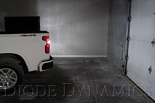 Diode Dynamics Backup LEDs compatible with Chevrolet Silverado 2014-2025 (pair), 921 XPR