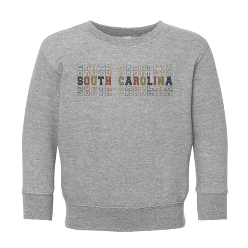 Stacked South Carolina Kids Sweatshirt Toddler 4T Heather Grey