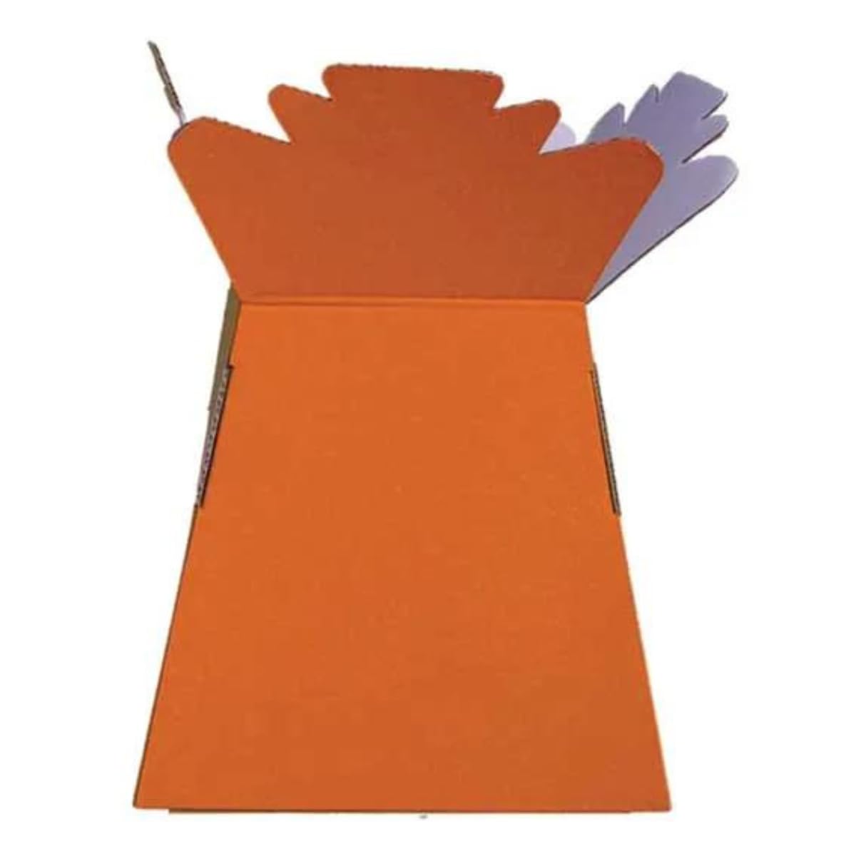 Inerra Florist Boxes - Pack of 2 - Living Vase for Flowers Hand Tied Bouquet Box Making (Orange), Standard