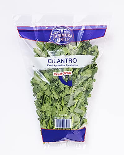 Natures Reward Cilantro, 1 EA