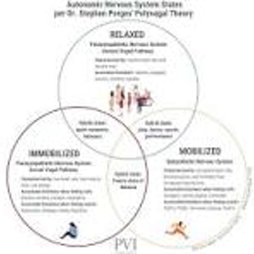 Polyvagal theory and dissociation