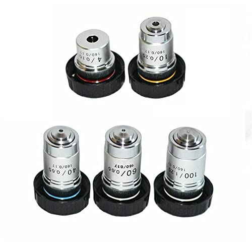 �������ώ@ 4X 10X 20X 40X 60X ���F���������� �Ε������Y 100X (�I�C��) 195mm �������� ���j�o�[�T�� MS �X���b�h(10X)